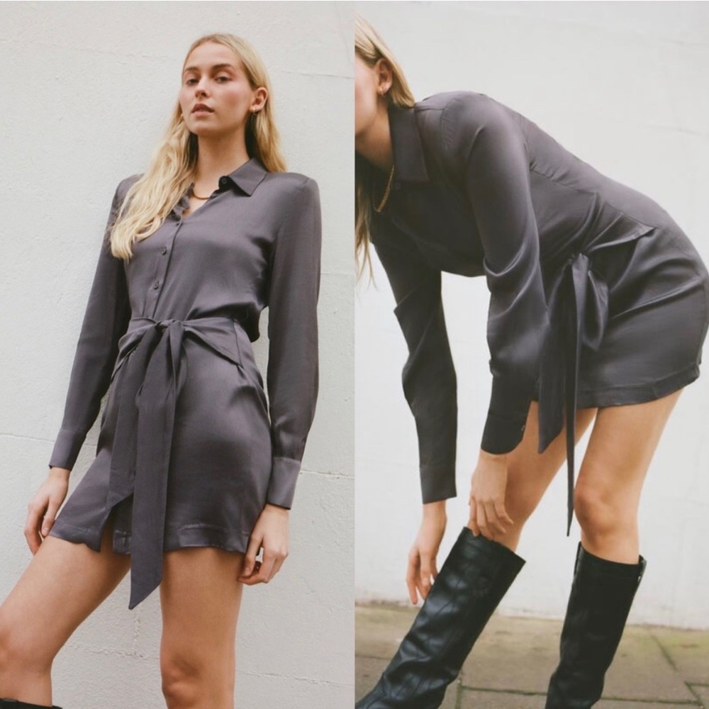 Zara Satin Dress **NWT**